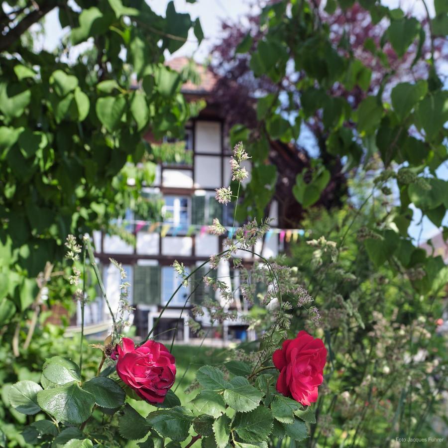 Uelis-Stoeckli-Gaestezimmer Auf Belebtem Bauernhof Mit Hotpot Und Alpakatrekking Villa Meikirch Exteriör bild