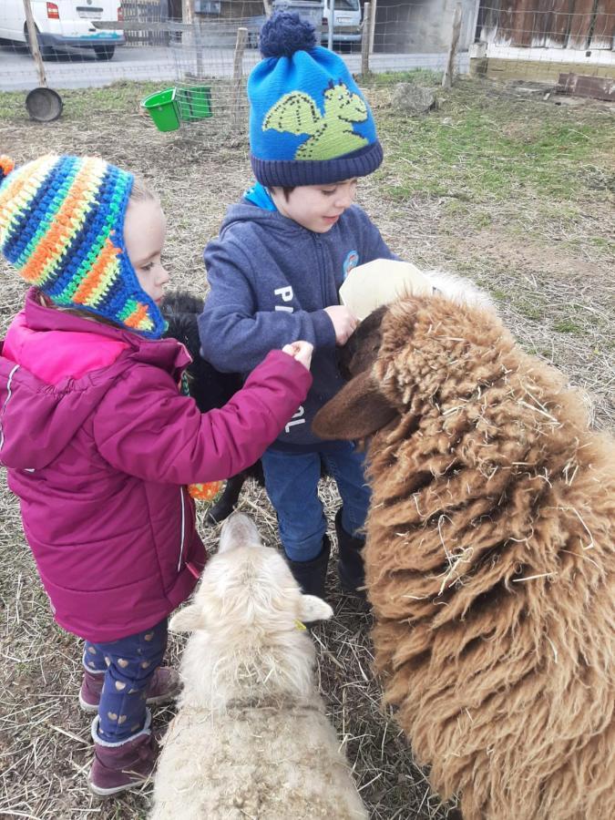 Uelis-Stoeckli-Gaestezimmer Auf Belebtem Bauernhof Mit Hotpot Und Alpakatrekking Villa Meikirch Exteriör bild